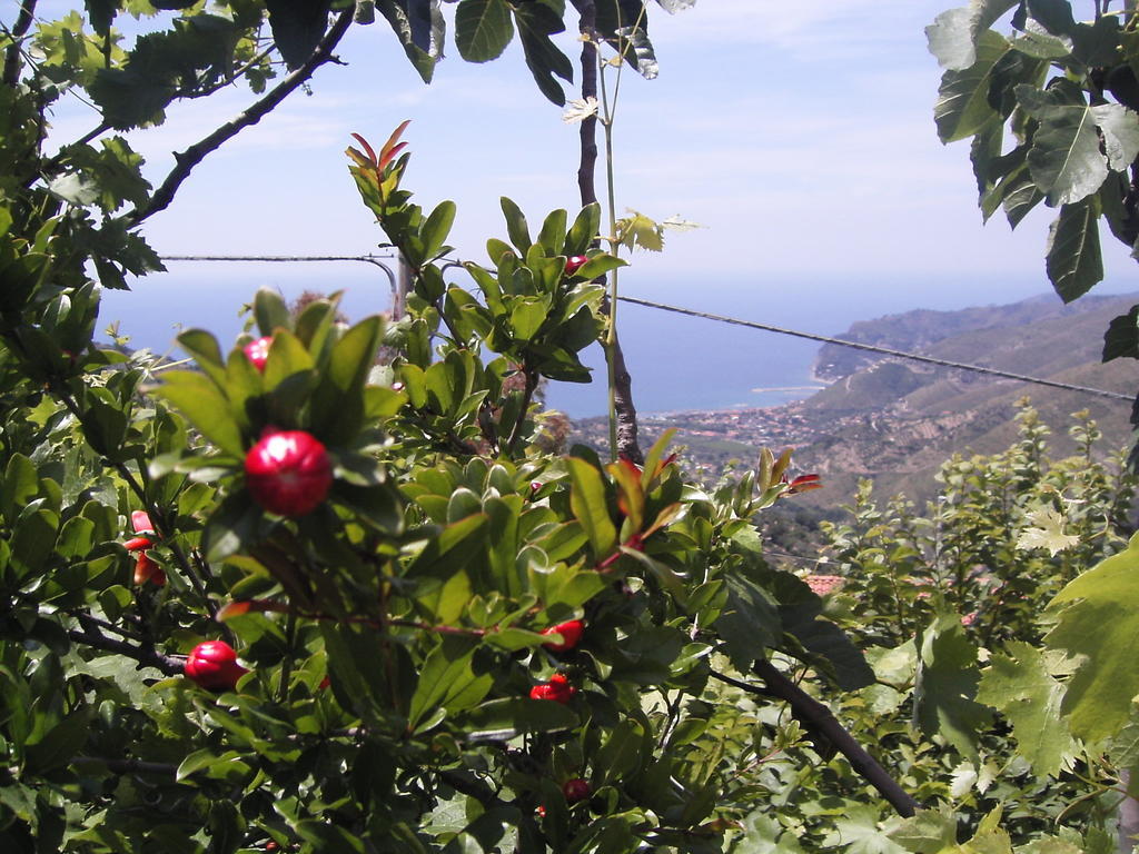 Cilento Bed & Breakfast San Mauro Cilento Ngoại thất bức ảnh